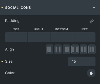 social icons settings