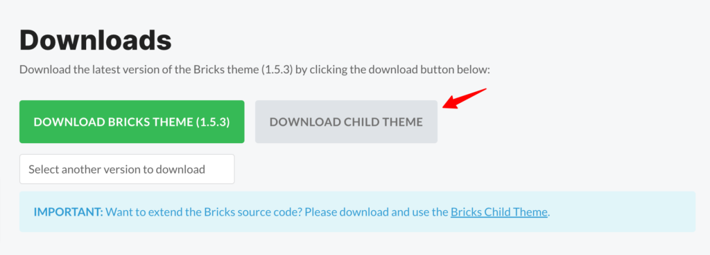 bricks child theme
