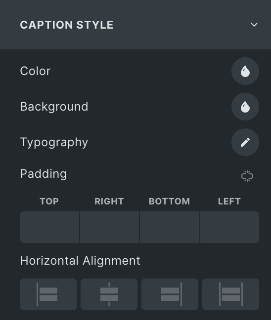 Instagram Feed: Caption Style Settings