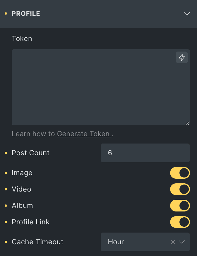 Instagram Feed: Profile Settings